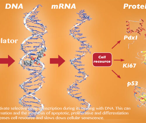 DNA-mrna_v2