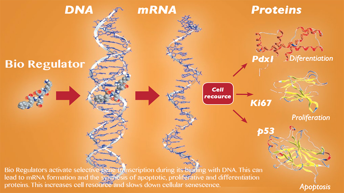DNA-mrna_v2